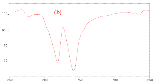 specacfig3b.gif (4804 bytes)